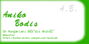 aniko bodis business card